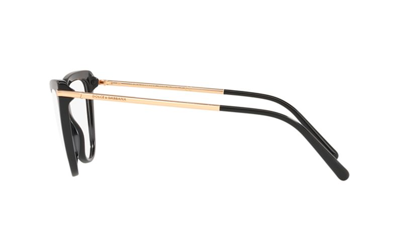 oculos_0002_0DG3295__501_090A