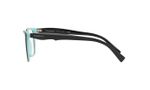 oculos_0000_0TF2175__8055_090A