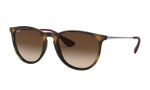 oculos_0000_0RB4171L__865_13_030A
