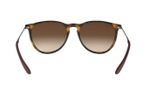 oculos_0002_0RB4171L__865_13_180A