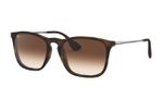 oculos_0001_0RB4187L__856_13_030A
