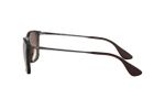 oculos_0000_0RB4187L__856_13_090A