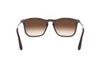 oculos_0003_0RB4187L__856_13_180A