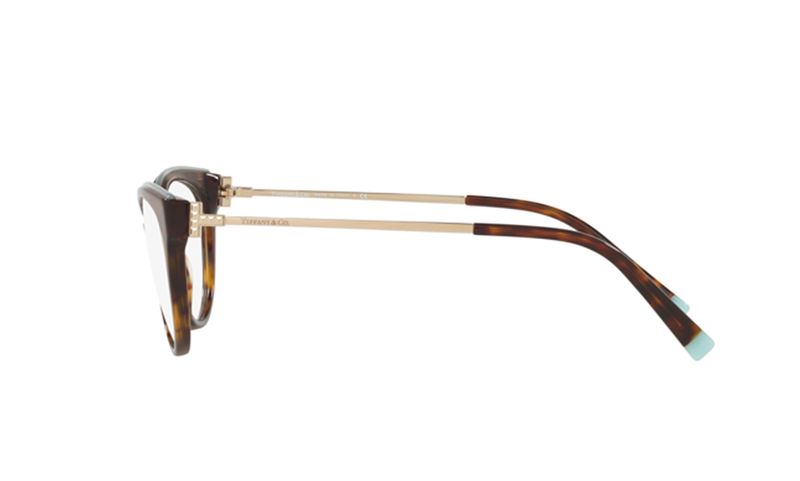 oculos_0000_0TF2183__8015_090A