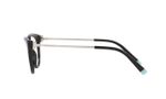 oculos_0000_0TF2183__8001_090A
