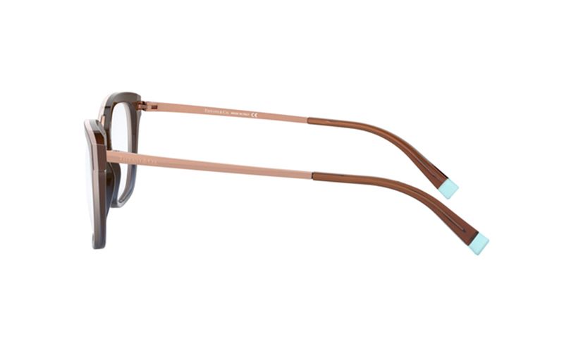 oculos_0000_0TF2186__8277_090A