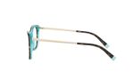 oculos_0000_0TF2186__8275_090A