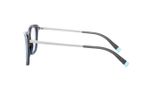 oculos_0000_0TF2186__8276_090A