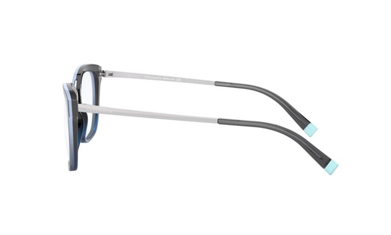 oculos_0000_0TF2186__8276_090A