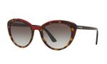 oculos_0000_0PR_02VS__3200A7_030A