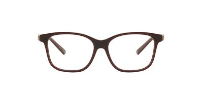 C. DIOR 30MONTAIGNEMINIO BIF RX 069 54