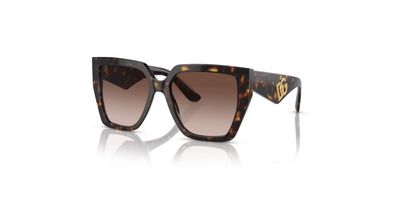 DOLCE & GABBANA 4438 SOLAR 502/13 55