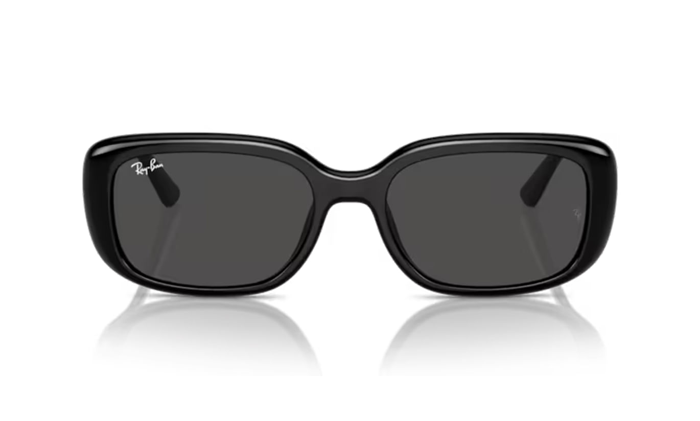 レイチェル RAY BAN 4421D SOLAR 667787 56