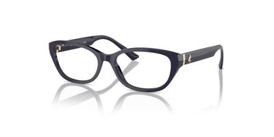 JIMMY CHOO 3015 RX 5023 55