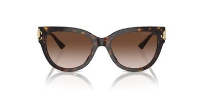 JIMMY CHOO 5018U SOLAR 500213 54