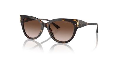 JIMMY CHOO 5018U SOLAR 500213 54