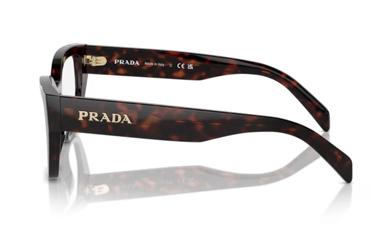 3.jpg?v=638521445220900000