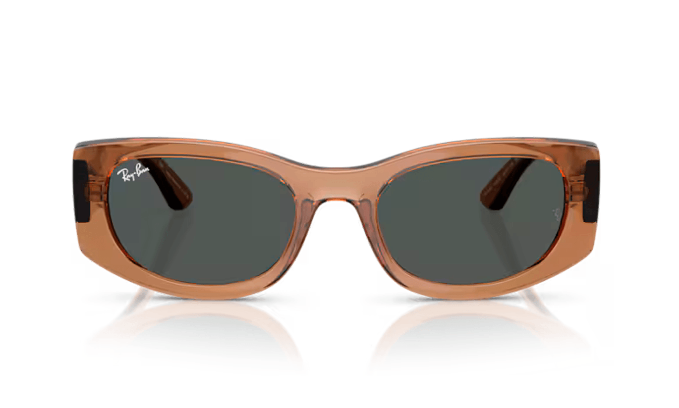RAY BAN 4446L SOLAR 678487 54