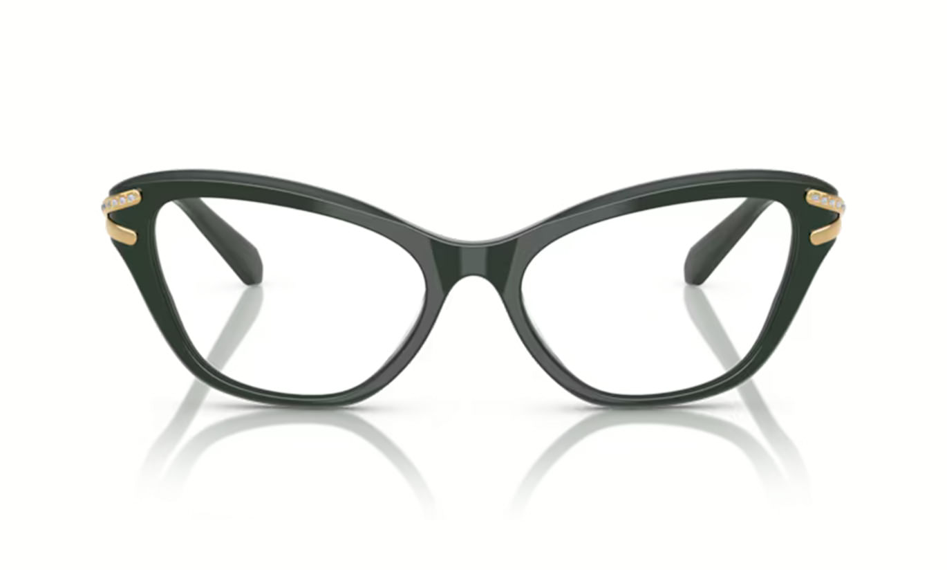 SWAROVSKI 2031 RX 1026 55