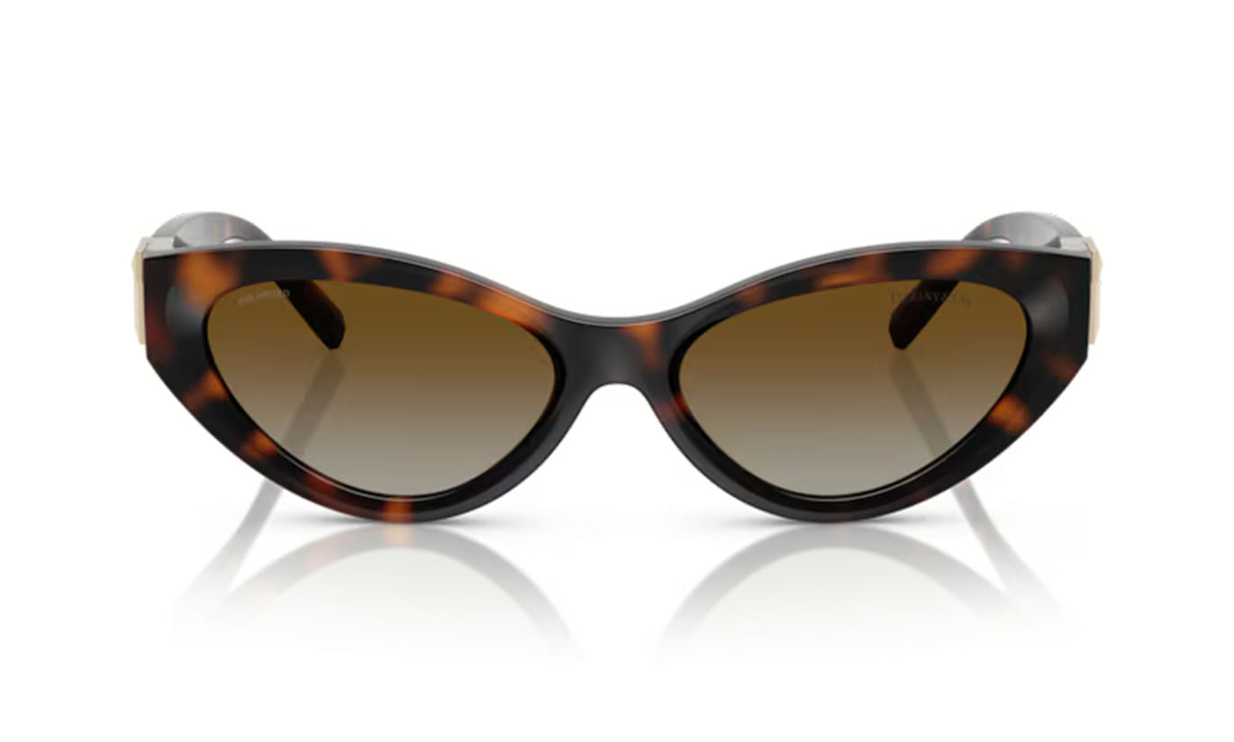 TIFFANY 4225U SOLAR 8001S4 54